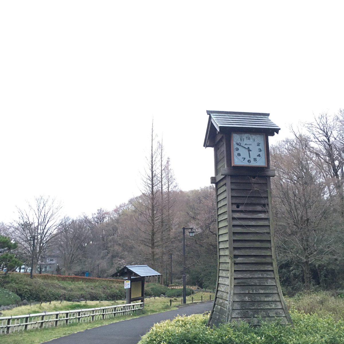 tamakoto55's tweet photo. Have a nice day ☁️ & nice running! 👟
Today’s 🏃♂️:12.1km Apr.Σ🏃♂️:12.1km
Today’s 🌸📷:TamaCity Tokyo
🏃♂️➡️ #NRC #JustDoIt #nikeplus #run #朝ラン #ランニング #runner #UniverseRunners #中沢池公園 #水車
🌼➡️ #花写真 #花写っと #Flower #ナツグミ #ElaeagnusMultiflora https://t.co/FfxmPChLGV