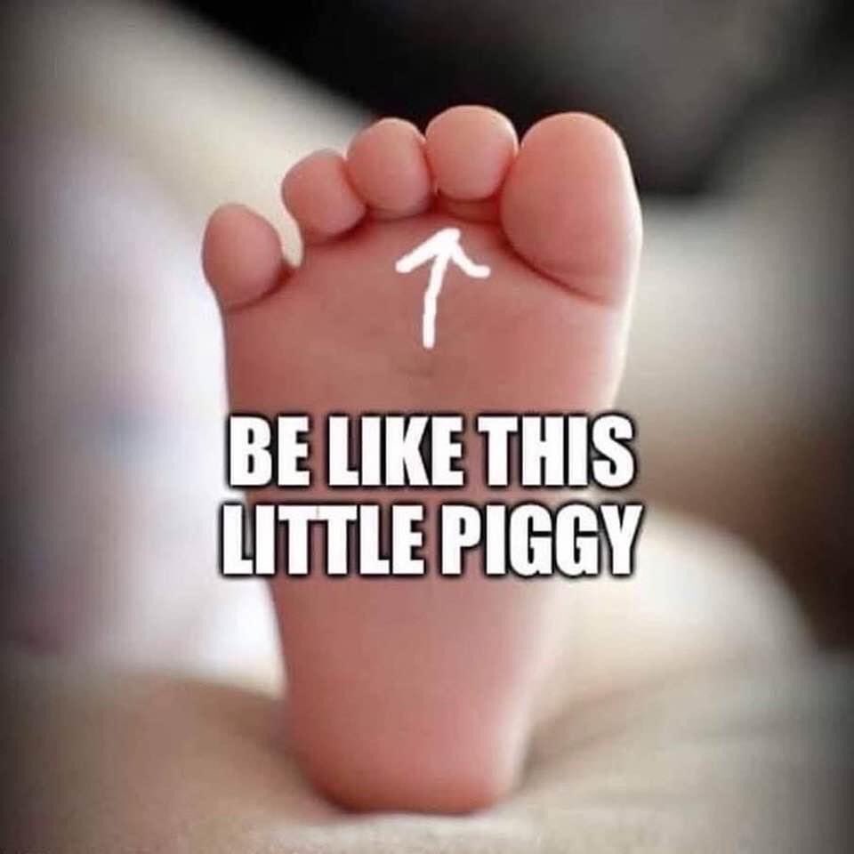 keeeym's tweet photo. Be like this little piggy #StayHome https://t.co/AhapyoFdaK