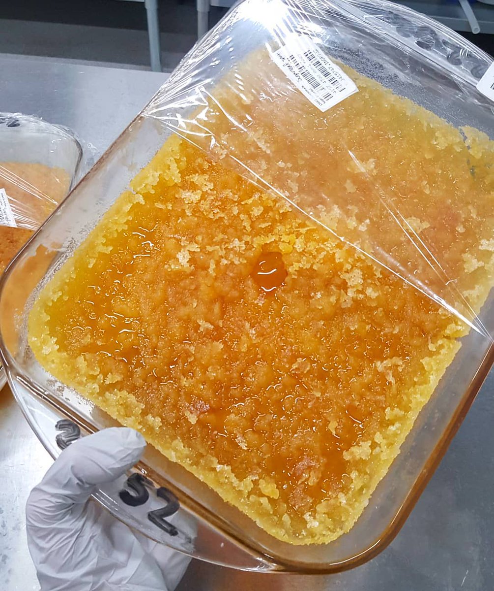 It's a terp-terp-terpy Tuesday. 😍 Pan of Garanimals. #DabPorn

📸: instagram.com/thedabwhispere…
🍯: instagram.com/trichome__extr…