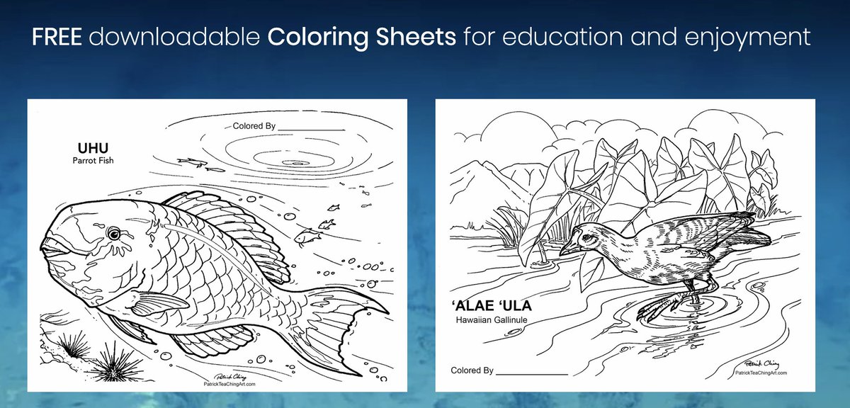HIPacParks's tweet photo. Mahalo nui loa to Hawaiʻi artist @PatrickChingArt for these #free #downloadable #coloringsheets featuring the #wildlife of Hawaiʻi, home to our national park partners!
Find a whole page of coloring sheets at the link!
#PatrickChing
https://t.co/m2CO0gS7xR https://t.co/CgsUjNyUGh