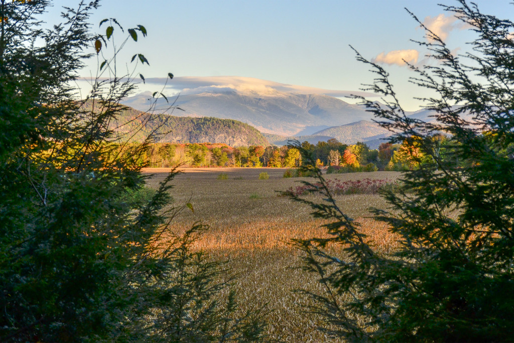 Visit MWV tweet media