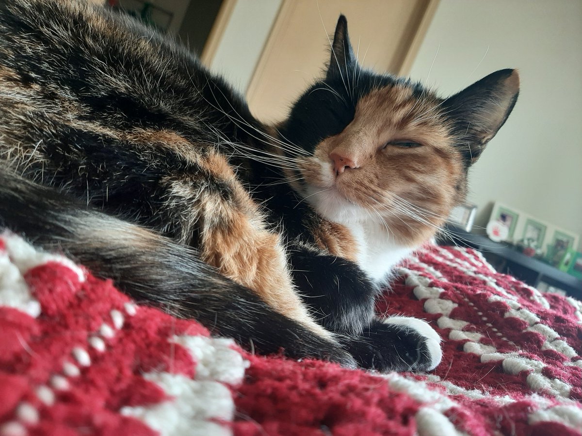 DailyDekiDeki's tweet photo. Sleep
#DailyDexter https://t.co/gAOdEJ5DSm