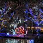 ツイートに含まれる画像