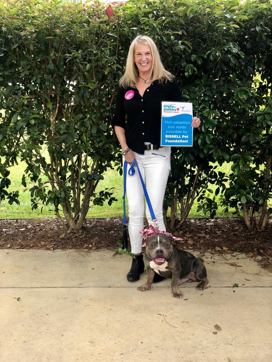 paws humane adoptable dogs