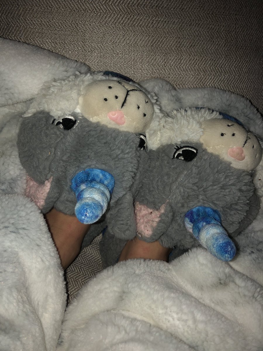 FullSendFeetPic's tweet photo. 💕💕💕
Getting a little warm in these slippers!
💕💕💕
#feet #footfettish #feetpicsforsale #feetpictures #feetnation #feetlovers https://t.co/Wx5plg3rKf
