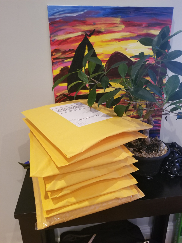 PaperProfitsNYC's tweet photo. Books keep people home. The more books we get out the door, the more hours our customers will spend laying low on the couch. Saving the world page-by-page 😂
.
#bookseller #amazonseller #ecommerce #onlinebusiness #amazonbookseller #amazonfba #ebay #bookflipper https://t.co/XGx7M0oP2k