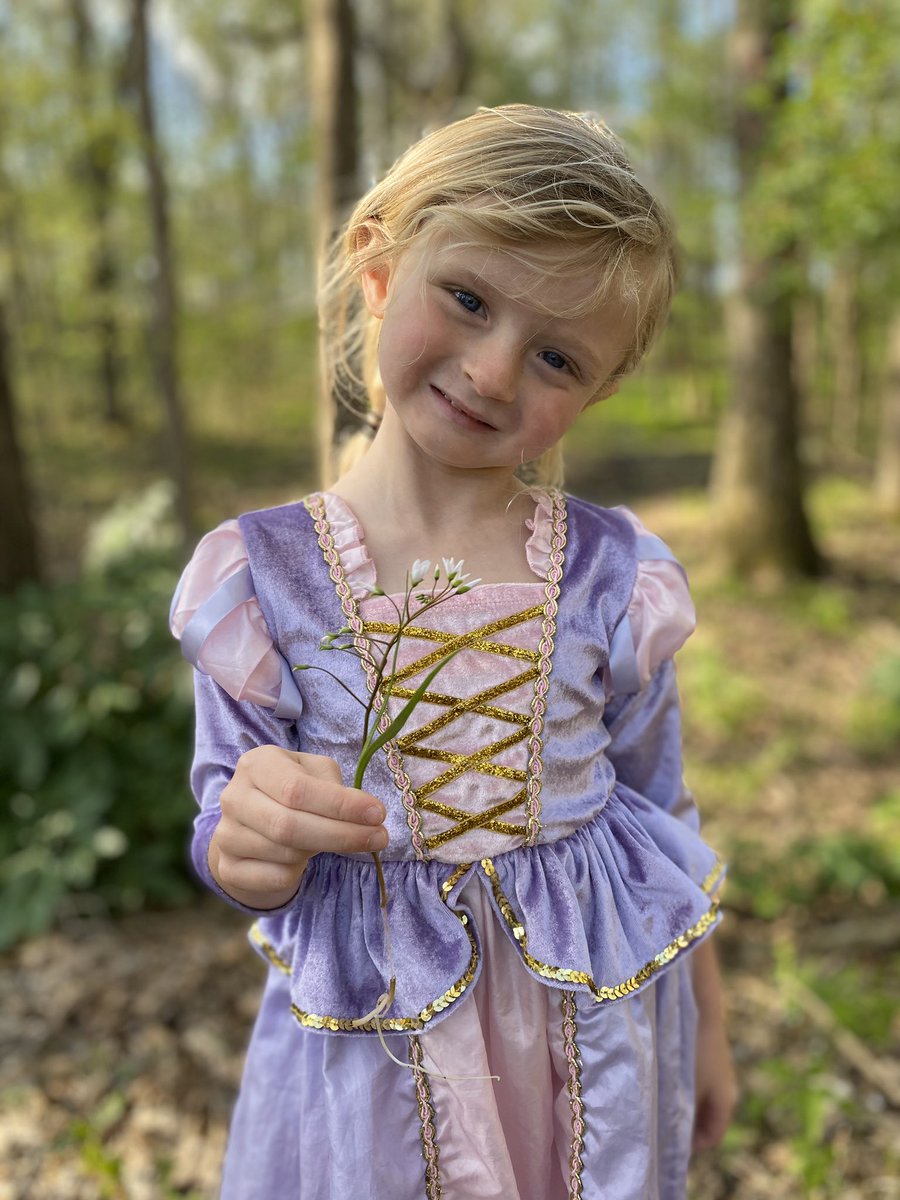 MrsPettigrew43's tweet photo. Found a flower and labeled the parts: petals, leaves, stem, &amp; roots! #teamdcs #raisethebar #diatancelearning @TweetDCS_HES https://t.co/sl0wbeEjzS
