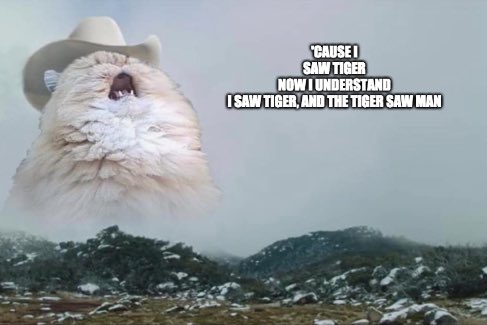 lesliedrew141's tweet photo. Me: country music sucks.  Also me: #TigerKing https://t.co/Pi8049rjYh