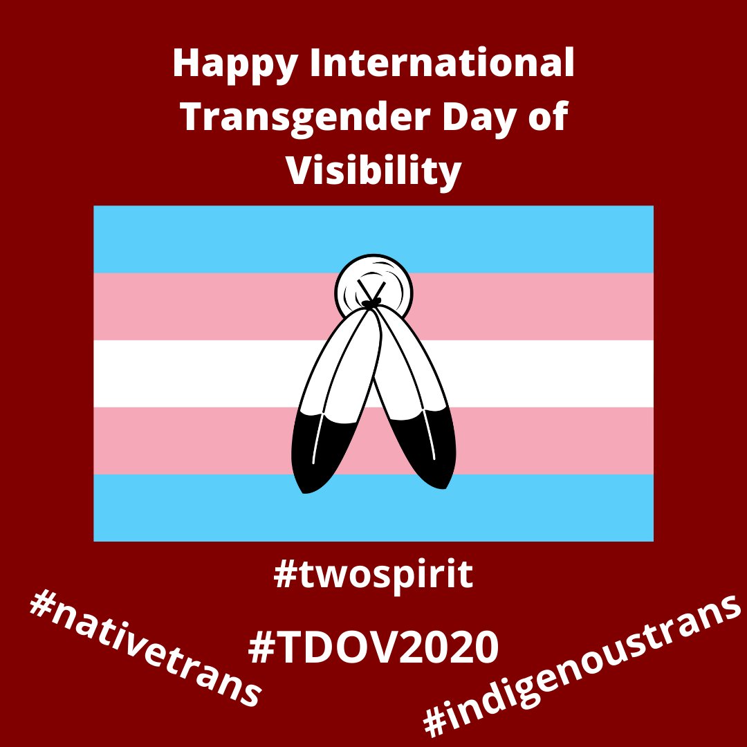 RedCircleProjec's tweet image. Happy International Transgender Day of Visibility to our transgender community members. We see you 😁 tag y'all selves #twospirit #tdov2020 #nativetrans #indigenoustrans