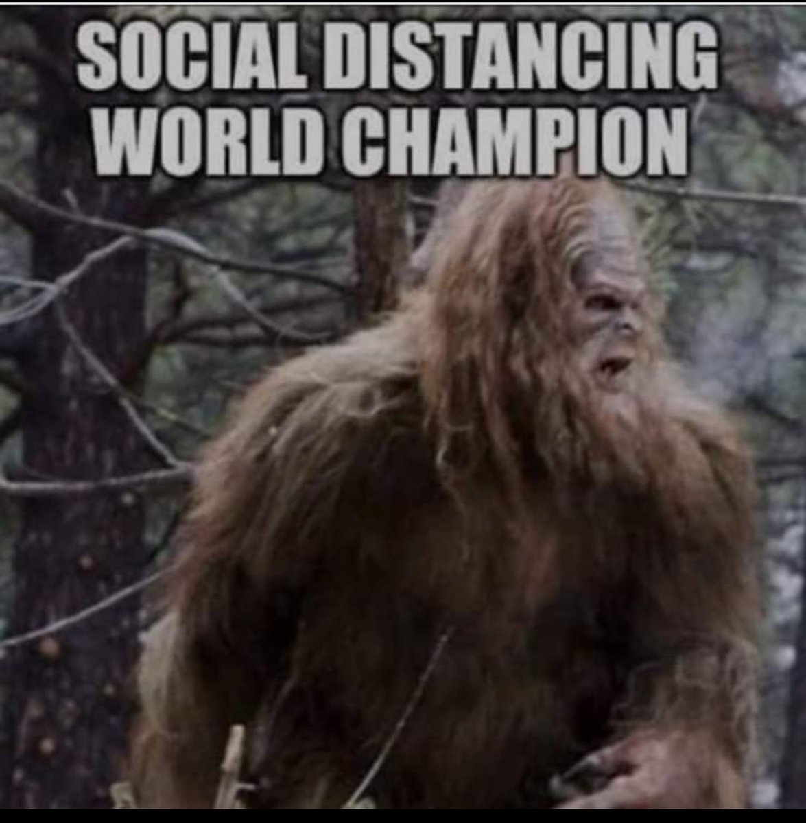 d.b.cooper (@dbcooper) on Twitter photo 