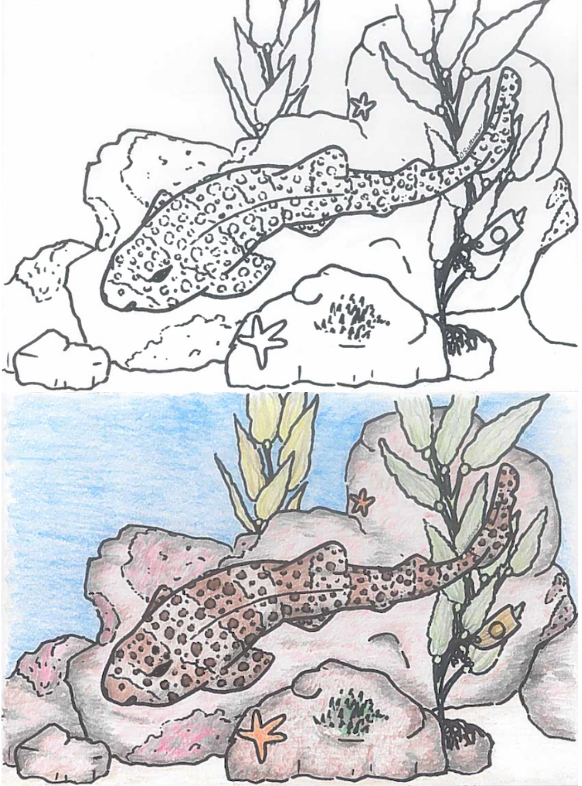 It's #NationalCrayonDay 🖍️ Take some time to celebrate the joy of coloring &amp; find your creative outlet 💙💚💛💜❤️  

What do Marine Protected Areas mean to you? Take part in the #MPAartchallenge by sharing your own creation &amp; get featured by <a href="/CA_MPA_CN/">Marine Protected Area Collaborative Network</a> bit.ly/3bHf9iS
