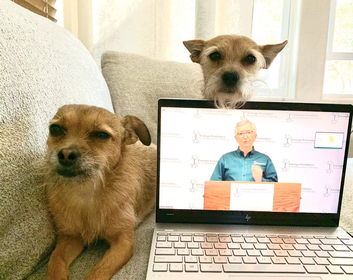 JennWitt_Silva's tweet photo. Not who I planned to share conference space with but thankful @CarnegieFdn went virtual. Looking forward to these next few days of learning! https://t.co/NdgVpMF0fu