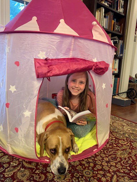hcpss_tres's tweet photo. Avery Patrone, 3rd grader reads with her dog Cody in her cozy and stylish reading tent! #TRESspiritweek #RetrieverSpirit #TRESpride #stayconnected 💙💚 https://t.co/D8a5l1dshU