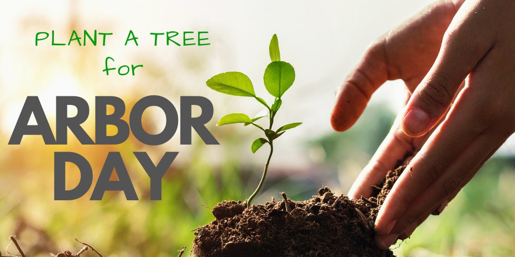 Happy Arbor Day! What are your plans?