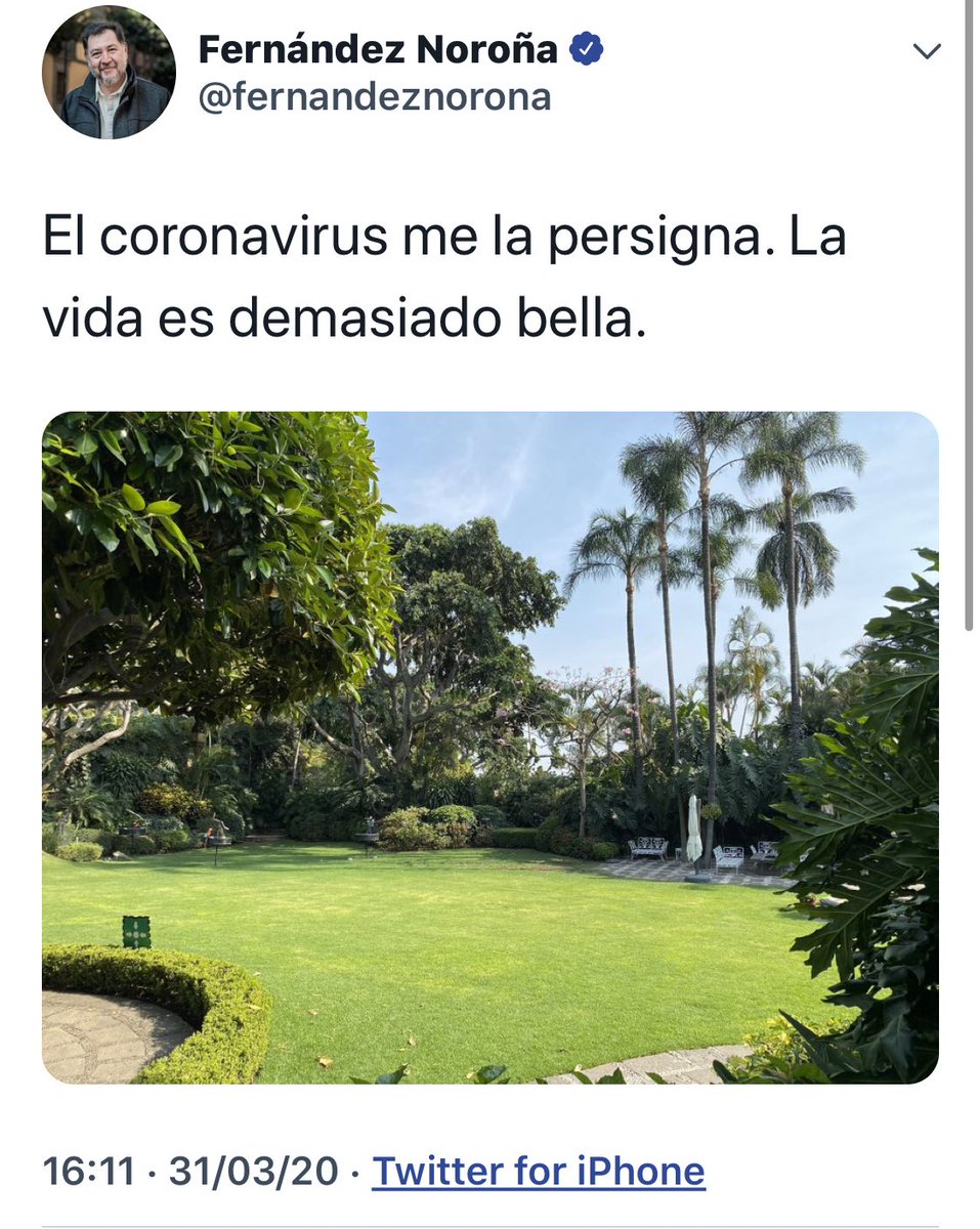 Areli Paz tweet media