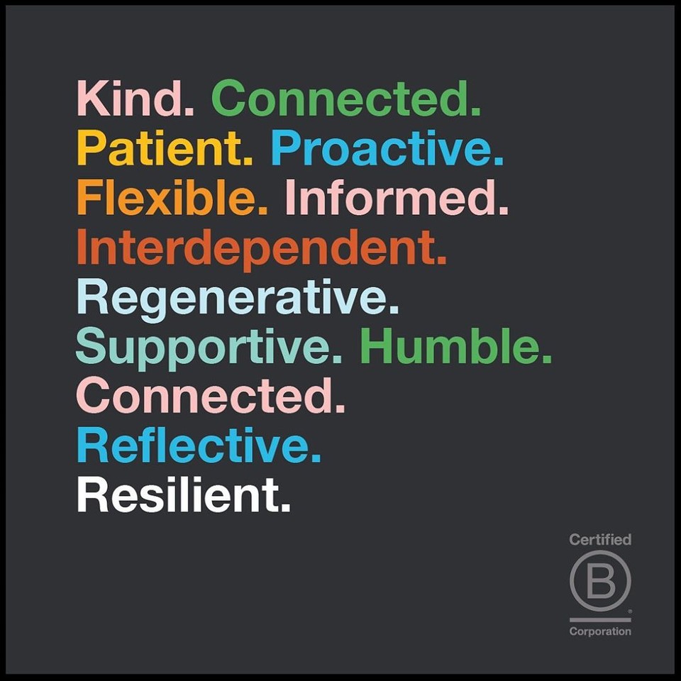 EOProducts's tweet photo. Together, we are resilient. This #BCorpMonth, we stand together with our community. 💙#BCorp #StrongerTogether #Resilience #Community #ForceForGood #VoteEveryDay #choosetoB https://t.co/Hdp6KSknjy