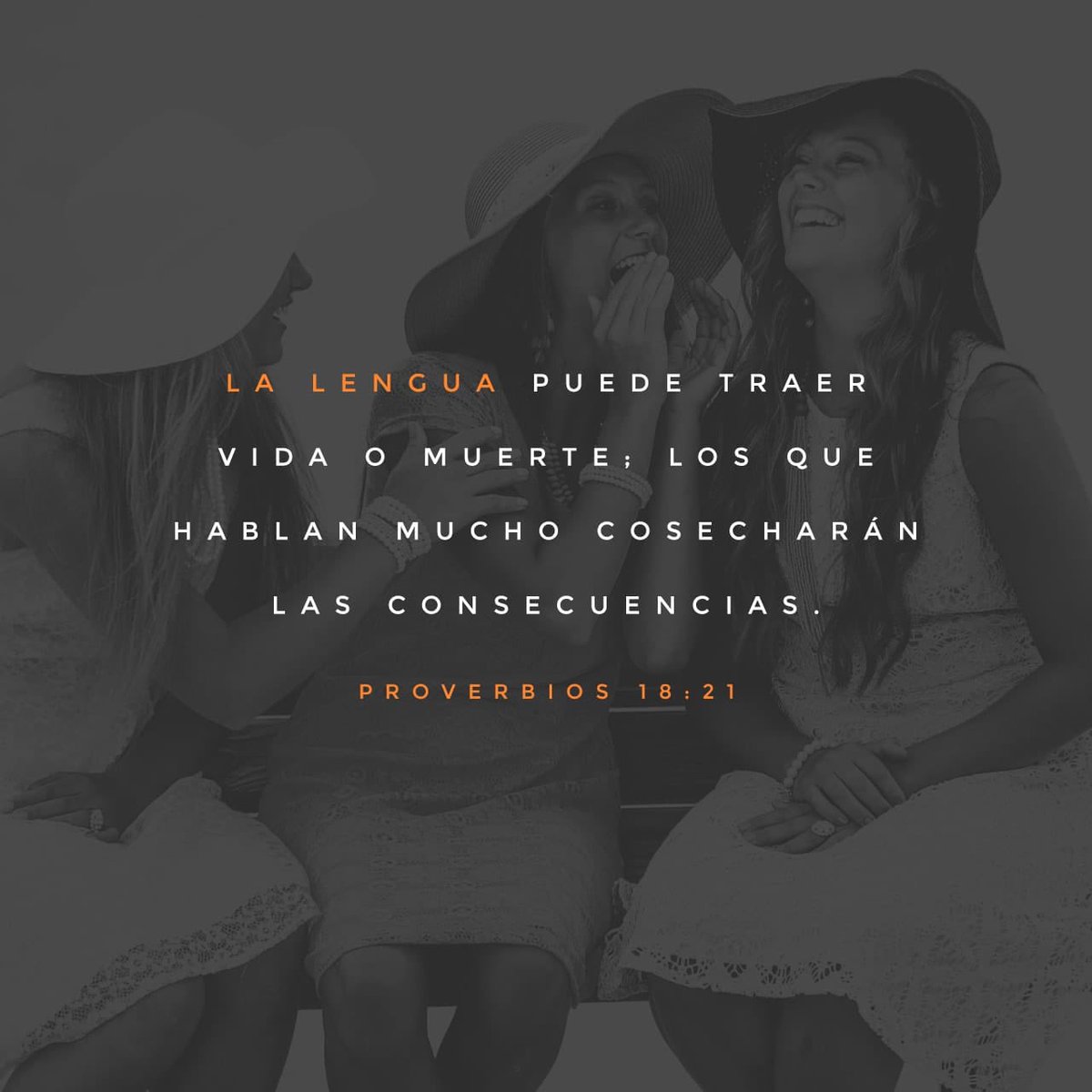 JESUSBRILLA tweet picture