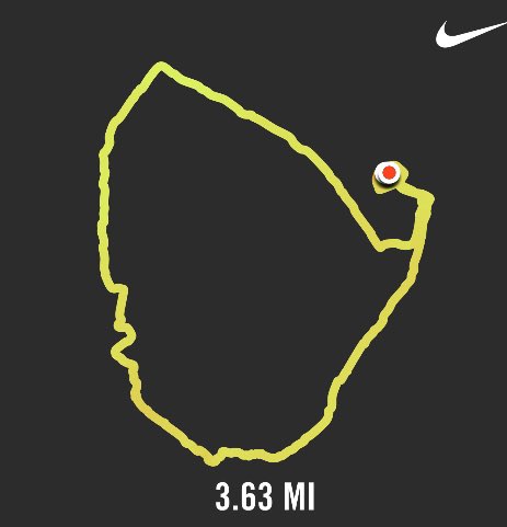 bjones26_2's tweet photo. 3.63 mile #snailrun, caught some sunshine ☀️#nikerunning #SocialDistancing https://t.co/9WBGLmhIXK