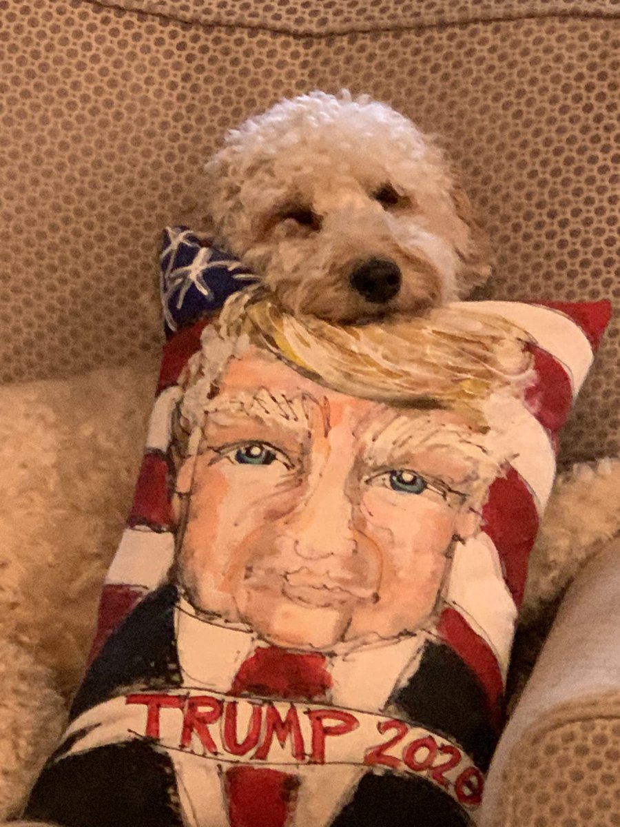 Annrpage's tweet photo. @realDonaldTrump even Flo is a fan!!! https://t.co/Isg5oNnWYY