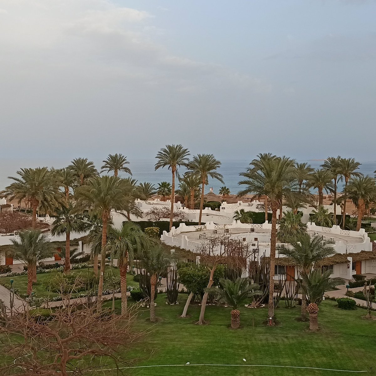 Shams safaga . Red sea