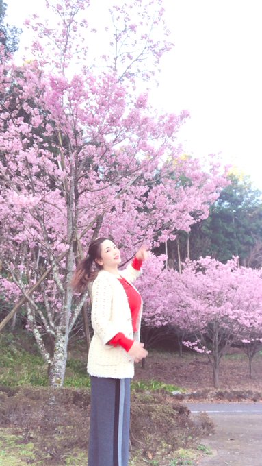 ロリちっぱいなので優しくしてください
I'm tiny with small boobs. Be kind to me PLZ
我很小，有小胸部。请善待我 https://t.co/MX03KedrV