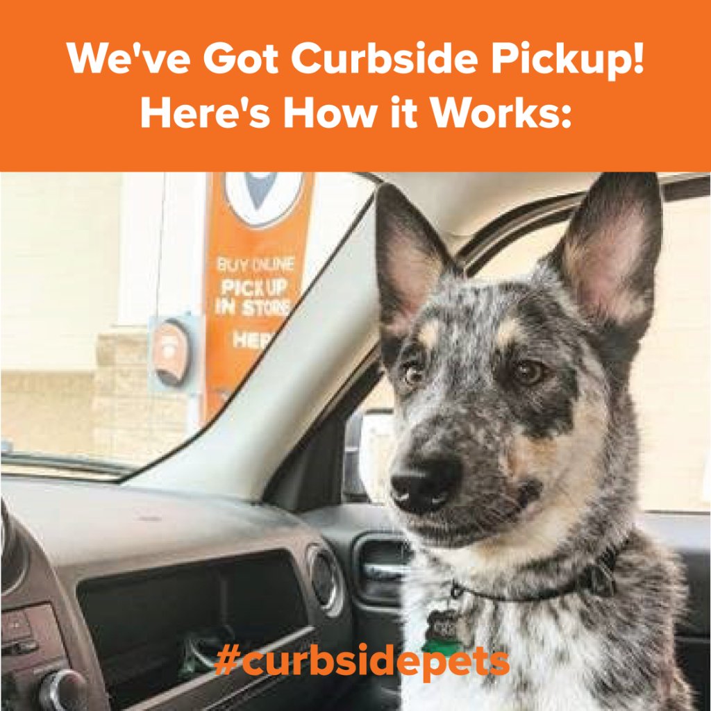 PetSmart tweet media