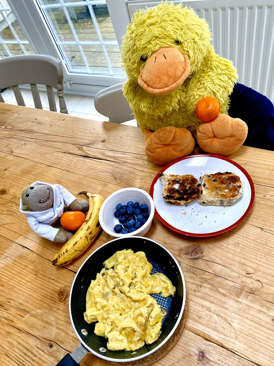 Howard_Flufflet's tweet photo. Enjoying a well balanced breakfast with cheeky Maurice consisting of toasted tea cakes, big omelette and fruit. Stay healthy everyone! #covidcooking https://t.co/t9T4w46nGv