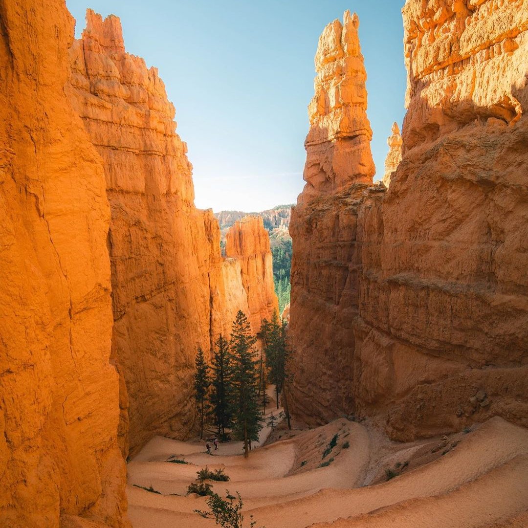ViatorTravel's tweet photo. Staying home got you dreaming of wide open spaces? ⛰️ This 360-degree video of Bryce Canyon gives you a sense of what you'll be in for when the time comes to turn #roamfromhome into #helloadventure. https://t.co/B6wjSEPt6W https://t.co/edlV57Unz3
