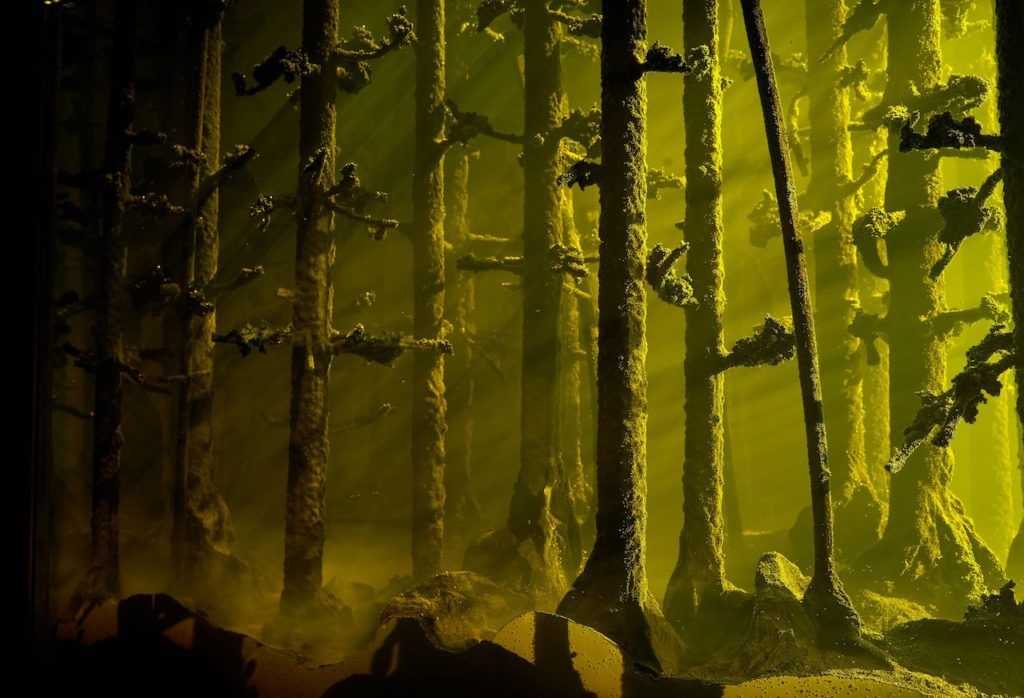 _StephanieAmon_'s tweet photo. Photographs from "Among the Trees" at Hayward Gallery in London. https://t.co/j8e957zxPj #forests #deforestation #artgallery #trees https://t.co/k1ULIMWRx7