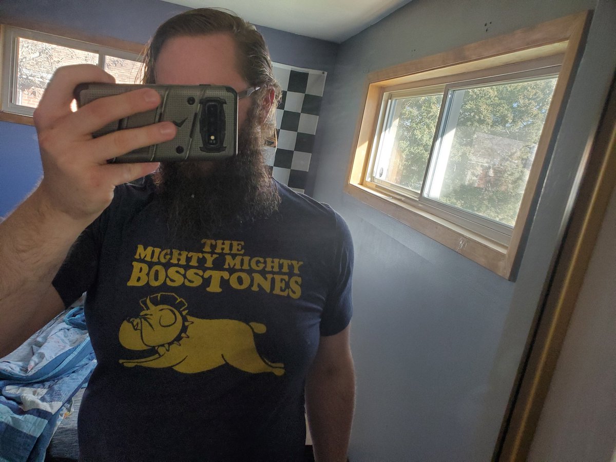 Band shirt 12 is a 90's classic they were in many movie soundtracks of the time and and were the band at the dance in Clueless. The Mighty Mighty Bosstones!