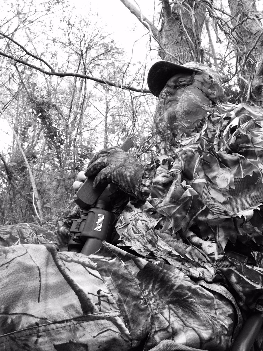 LFaclon's tweet photo. Woods Therapy https://t.co/qDo9upda2t