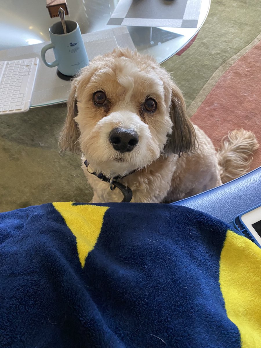 Bhargavi Gali, MD tweet media