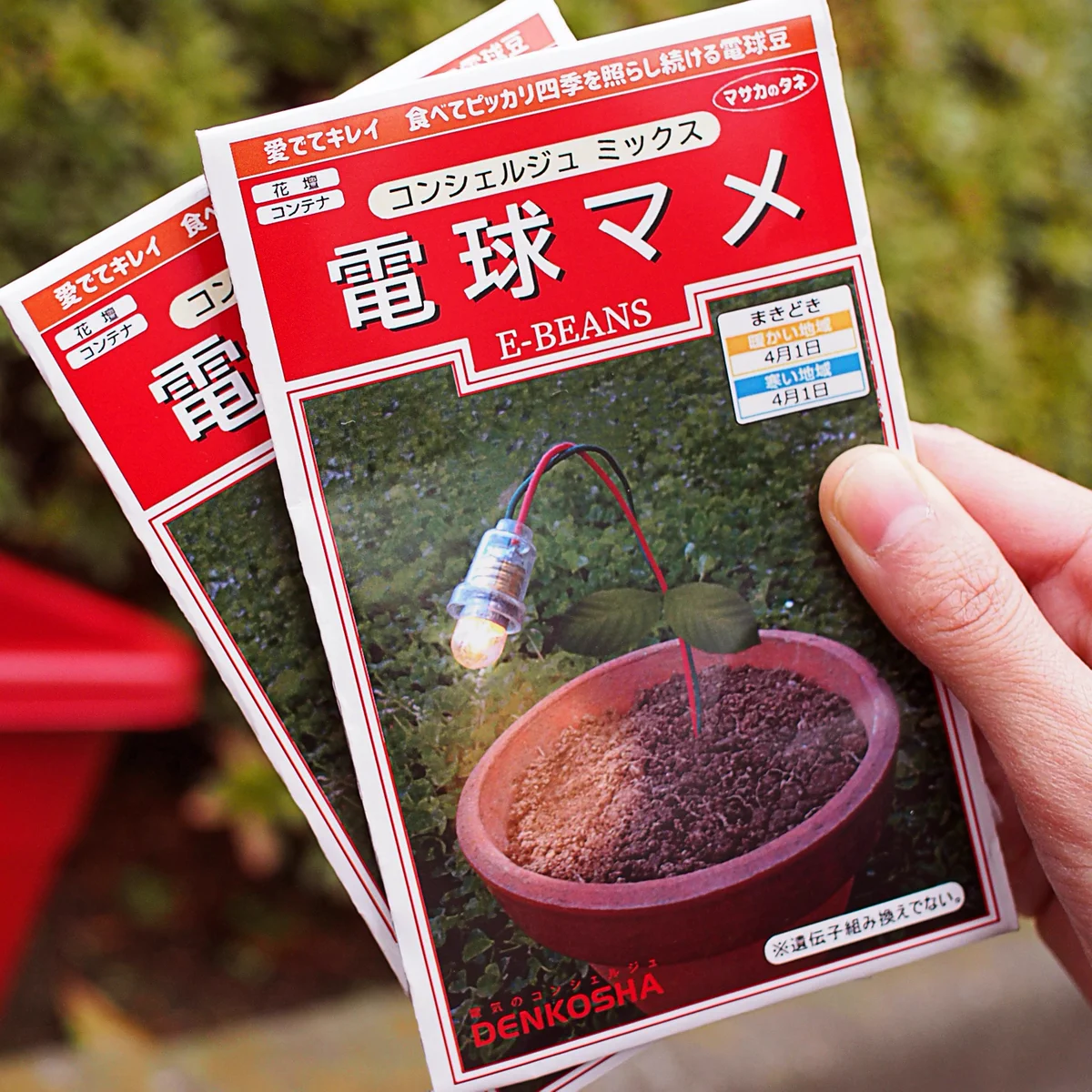 電球マメとは？エイプリルフールネタで変なマメがでてきたwww