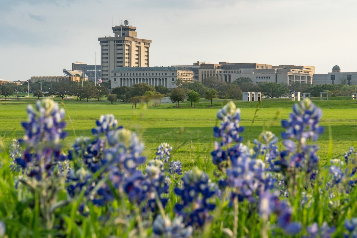 TAMU's tweet photo. ❤️ Bluebonnets &amp; Aggieland ❤️ https://t.co/FVhOzPkWpE