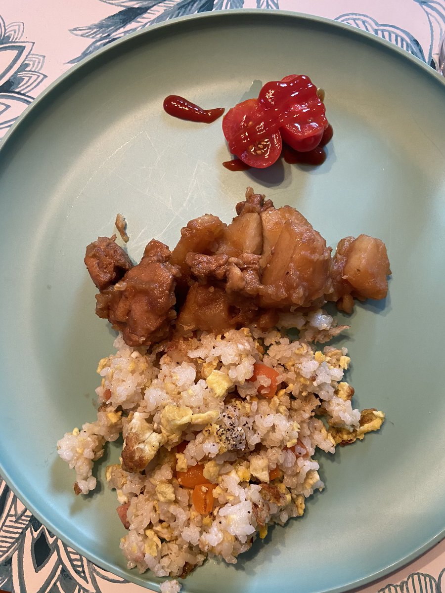 KateVachon's tweet photo. @TimonyGrammar Not my yummy creation but I thoroughly enjoyed this meal made by our international student Isabella who  is from China and lives with us while she attends high school. https://t.co/M6BbEqtQxf