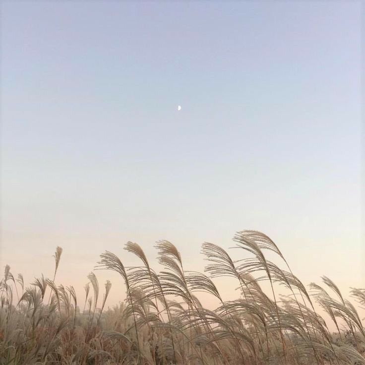 ( 💌 * ) 𝑨𝑷𝑹𝑰𝑳 𝑾𝑰𝑺𝑯 — เข้าสู่เดือนที่สี่กันแล้วนะคะ เค้าขอให้มีความสุขกันมากๆ ดูแลตัวตัวเองกันดีๆ ขอให้ไม่เจ็บไม่ป่วย ใครที่กำลังเจออะไรแย่ๆ ท้อหรือเหนื่อย เค้าเป็นกำลังใจให้เสมอเลย เธอจะผ่านมันไปได้แน่ๆ แล้วก็ขอให้เดือนนี้เป็นเดือนที่ยิ้มเยอะๆกันนะคะ !