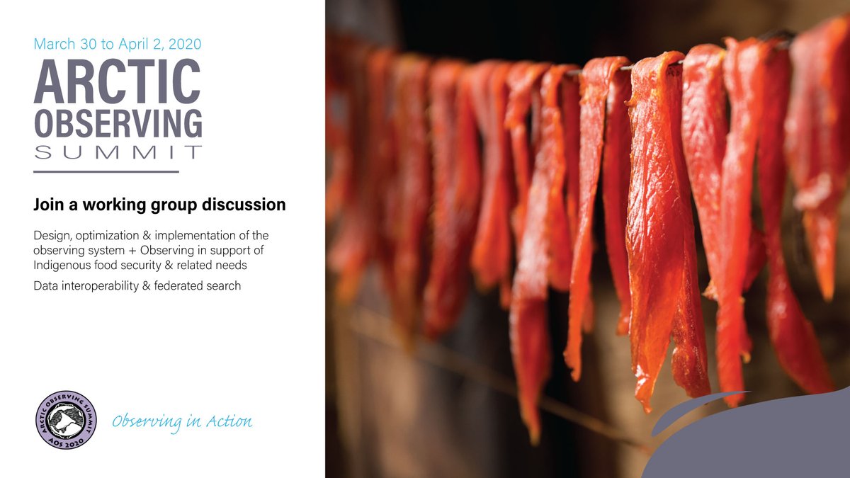 ArcticObsSummit's tweet photo. Foster dialog! Join cross-cutting sessions for Working Groups 1 Observing System + 3 Indigenous Food Security and Working Group 4 Data Interoperability at 2:30 PM GMT: https://t.co/z553lKvjRZ #AOS2020 #ASSW2020 📸: USFWSAlaska https://t.co/GQWQx7nRRy