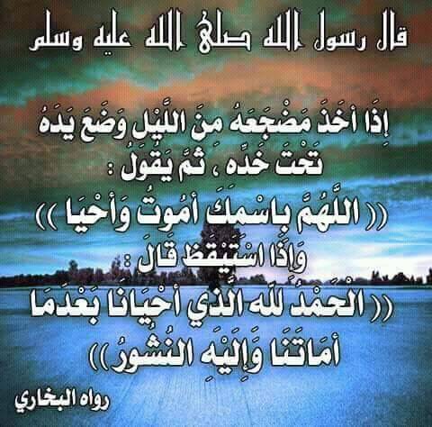 طلال الحربي tweet media