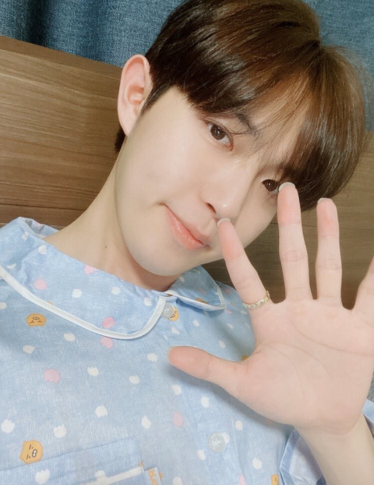 ✧* ･ﾟ♡day 91 〈march 31st〉hii bub, Im you! for April fools people change their layouts so I decided to do you account :D but ive actually not been that okay lately :/ just some family problems but I hope everything is okay and that ur healthy I love you lots