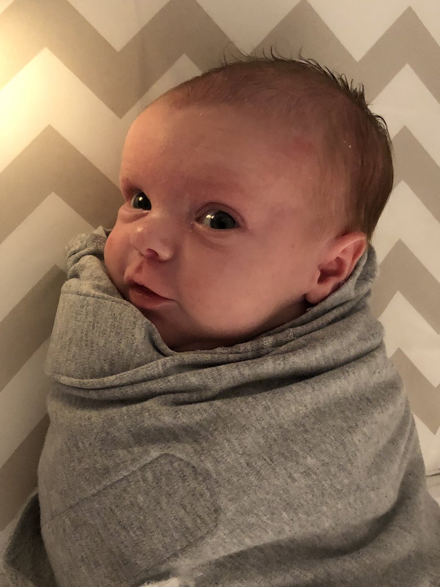 LCarisBGCS's tweet photo. A little cuteness from Zoey to brighten up your newsfeed! ☀️ She can’t wait to meet all of our BG Bobcat friends someday! https://t.co/dY1Rxwp9Pv