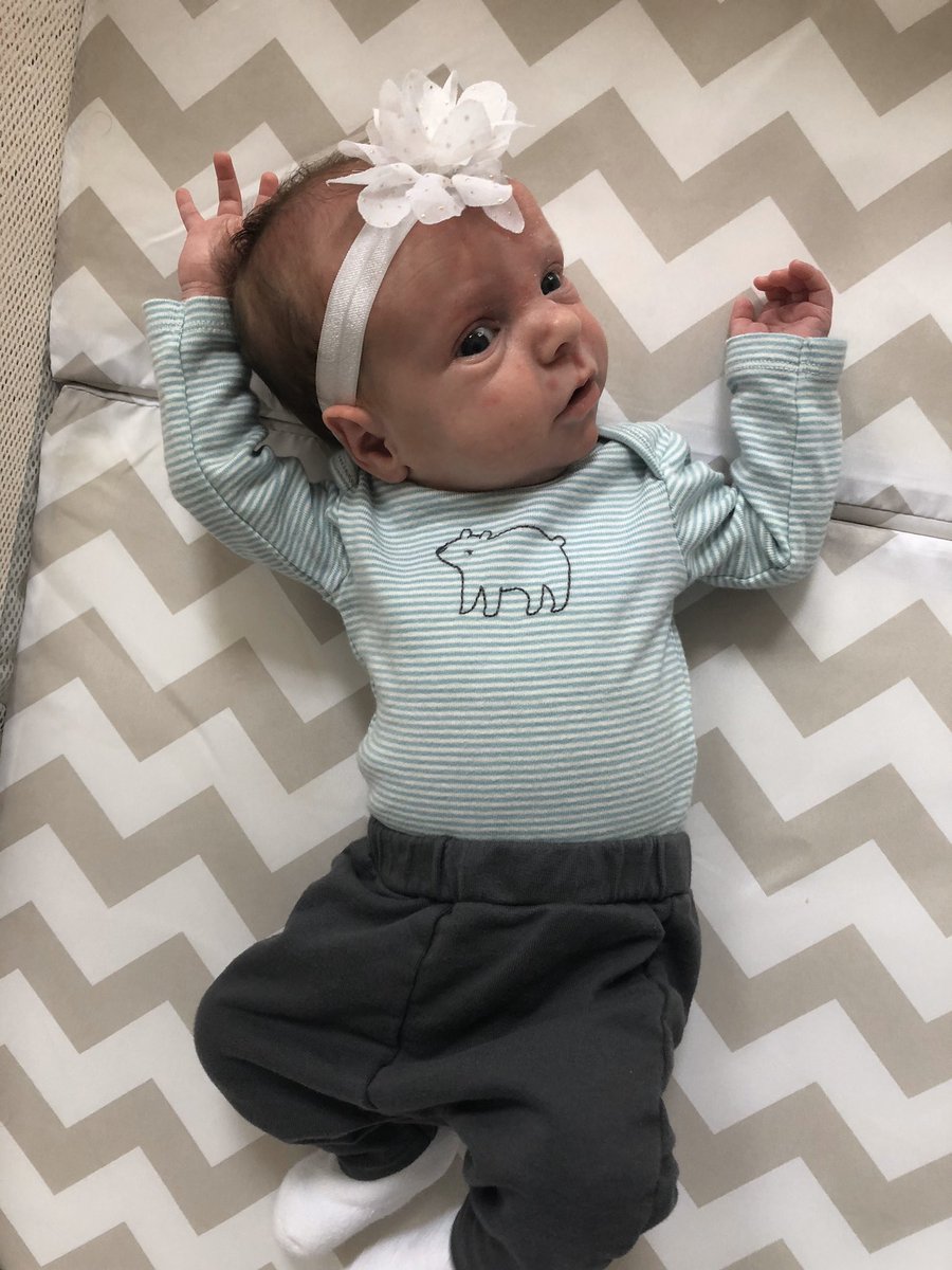 LCarisBGCS's tweet photo. A little cuteness from Zoey to brighten up your newsfeed! ☀️ She can’t wait to meet all of our BG Bobcat friends someday! https://t.co/dY1Rxwp9Pv