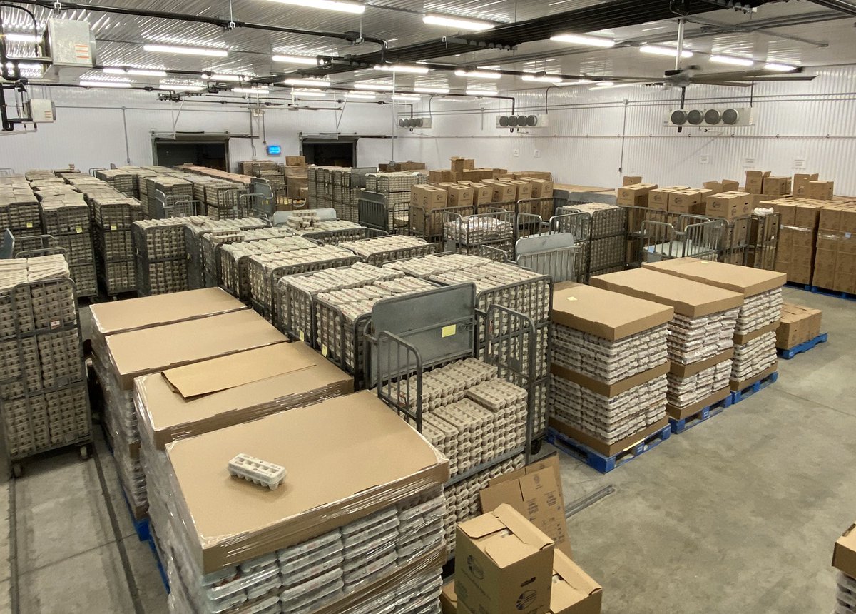 Newfoundland Eggs tweet media