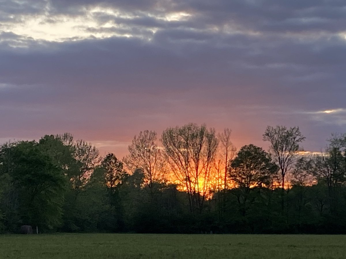 bellanewman's tweet photo. Sunset in the hayfield. #LamarCounty #GodsCreation @spann @WCBIWEATHER @weswyattweather https://t.co/8qDeh6CRMm