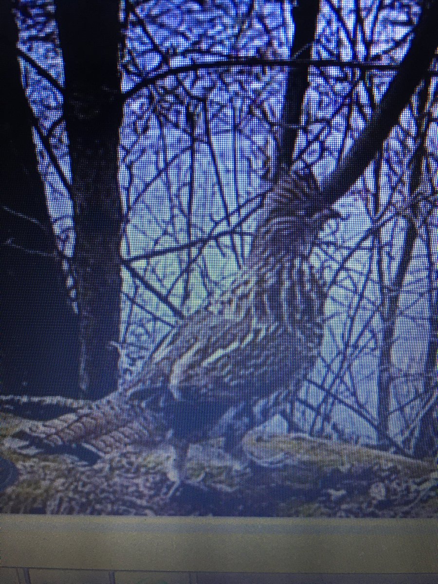 pdblaskowski's tweet photo. Lots of drumming activity around the ranch this week!  Got a few pics on one of the drumming logs.  Also had a bobcat show up on the same log.  More grouse around than last few years.  Seeing woodcock daily also.
⁦@RGS_AWS⁩
#ruffed grouse https://t.co/fST4YUm47G