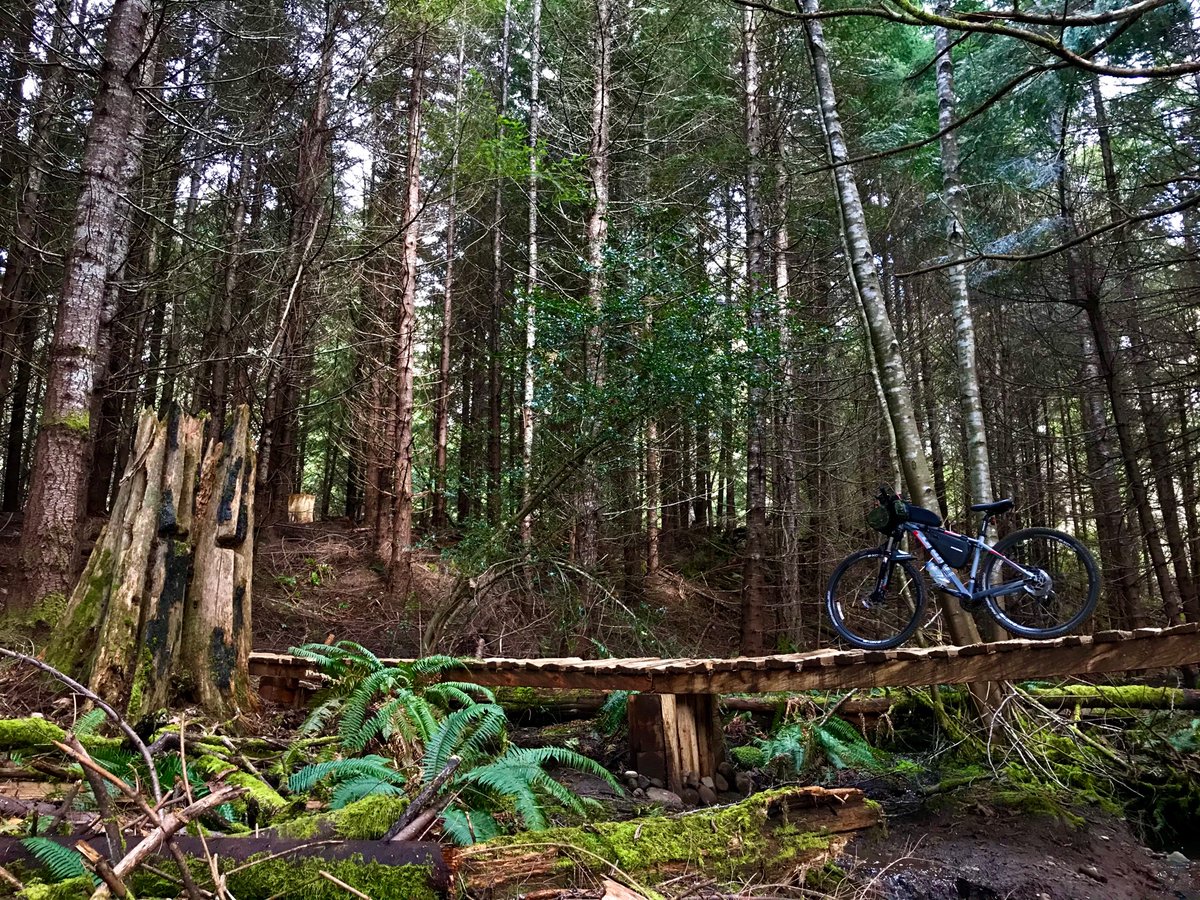 Stasher_BC's tweet photo. Kicking off my #carfreemonth of April early with a pedal to my favorite mountain to ride the trails. Felt great to be outside solo riding and away from all the news & digital overload of #covid19Canada #cyclelife #mtblife #getoutside #explorecowichan #MapleMountain https://t.co/5wpUBVfGTO