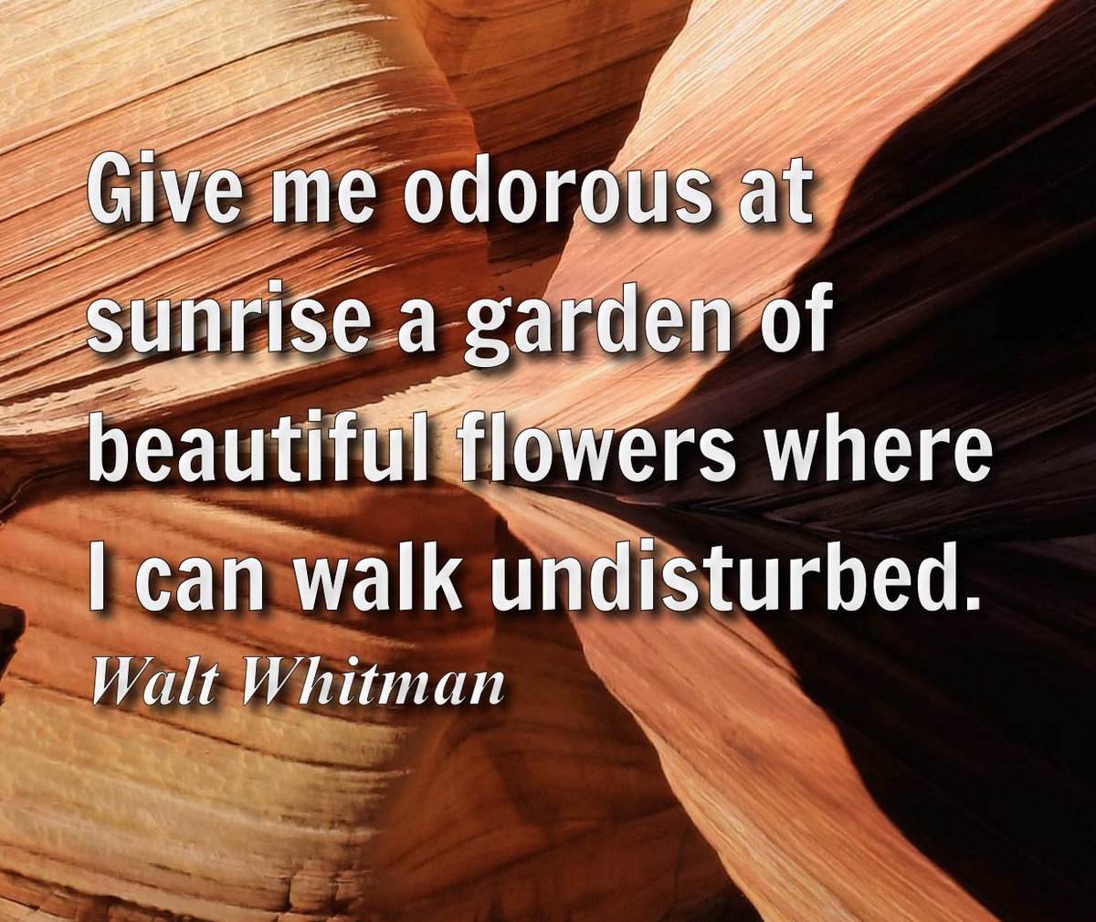 MuhammadAbdulQ's tweet image. #quotes #randomquote