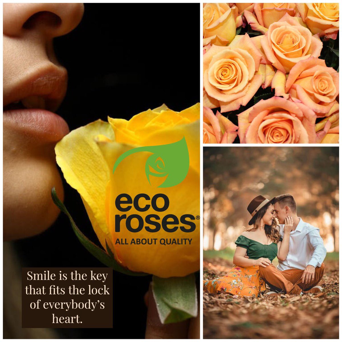 EcorosesSA's tweet photo. Boost your mood with roses!  Bring up hope and light to your homes and loved ones. #ecoroses #wedoitwithlove #peachroses #flowerpower #buyflowersnottoiletpaper #lethopebloom https://t.co/g8j3LAw0z0