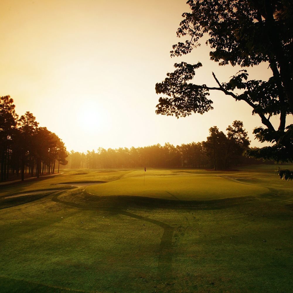 If you are a golf person please join the challenge of posting your fav golf photo. Just one picture, no description. Please copy the text in your status, post a picture and look at some great memories/pictures. 
Missing golf so very much! ⛳️🏌🏻‍♂️