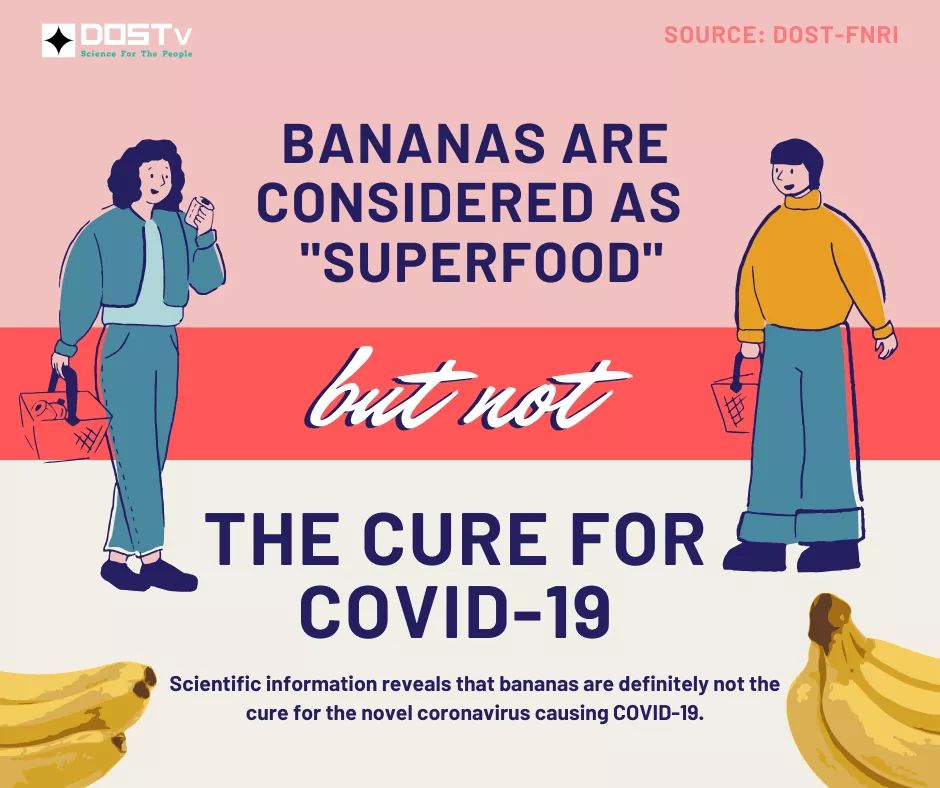 DOSTvPH's tweet photo. #SCIFACTS: Ang Saging ay tinaguriang "Superfood" dahil marami itong health benefits. Gayunpaman, HINDI gamot ang saging sa COVID-19.

Source: DOST-Food and Nutrition Research Institute

#HandaAngMayAlam #DOSTv #ScienceForThePeople
#dostFNRI https://t.co/1tc3rLj6iX