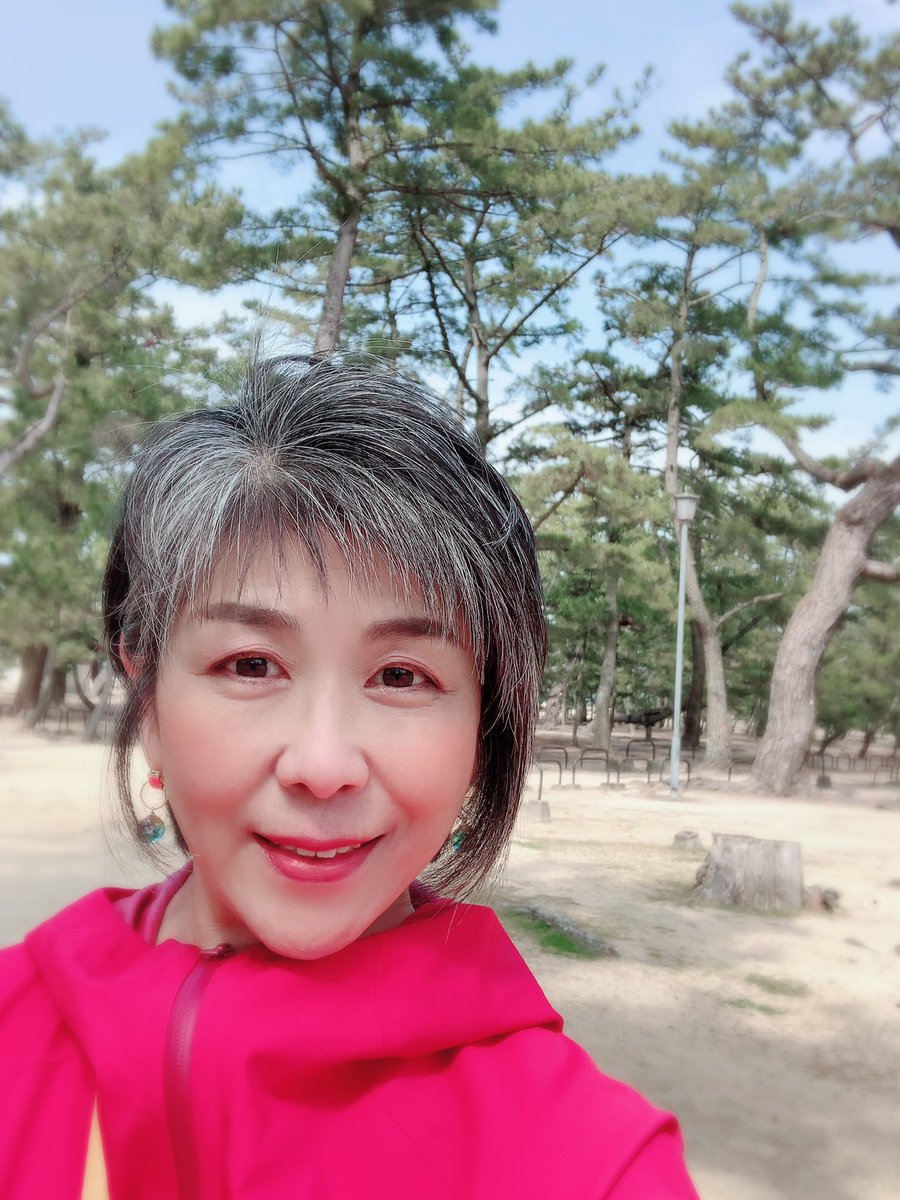 Hiyocot 渡辺葉子 Hiyocot Yoko Twitter